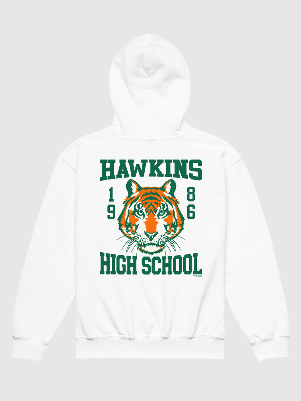Stranger Things Hawkins High Youth Hoodie