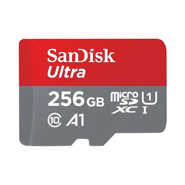 SanDisk 256GB